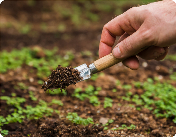 nutrigarden valores